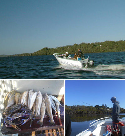 Madfish Charters Denmark 