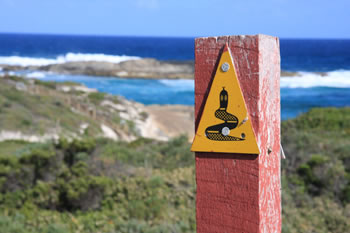 Bibbulmun Track overlooking Nullaki Peninsula, the Wilson Inlet & Ocean Beach