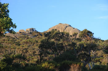 Monkey Rock Western Australia