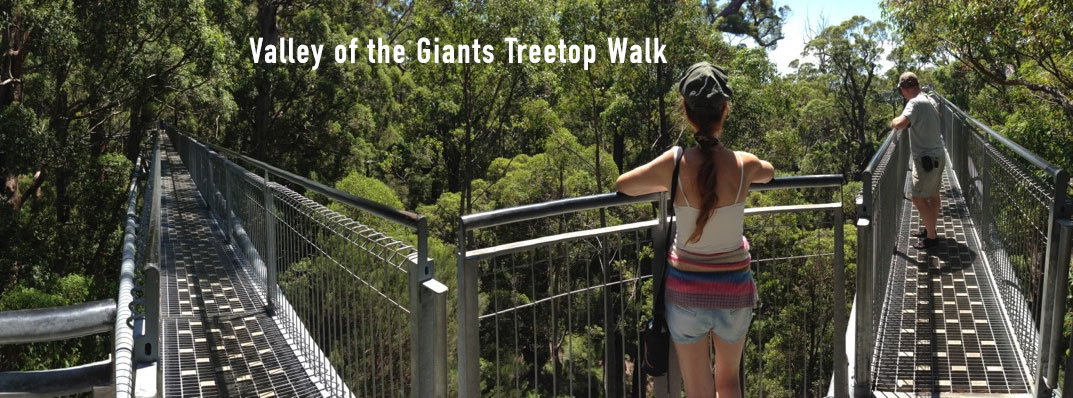 Treetop Walk same as Valley of the Giants Denmark WA