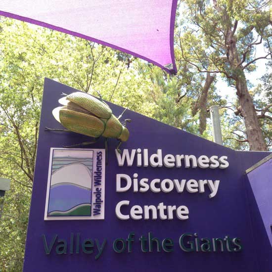 Platform in the Valley of the Giants