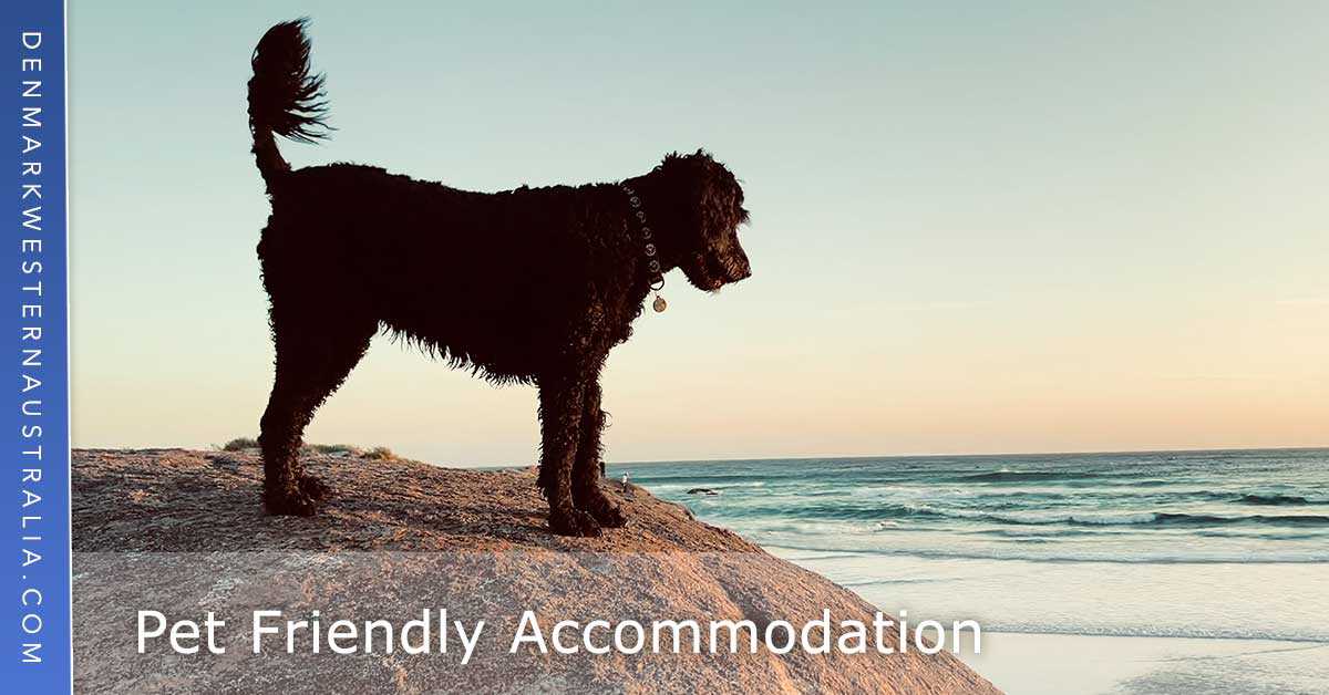 Pet Friendly Accommodation in Denmark WA